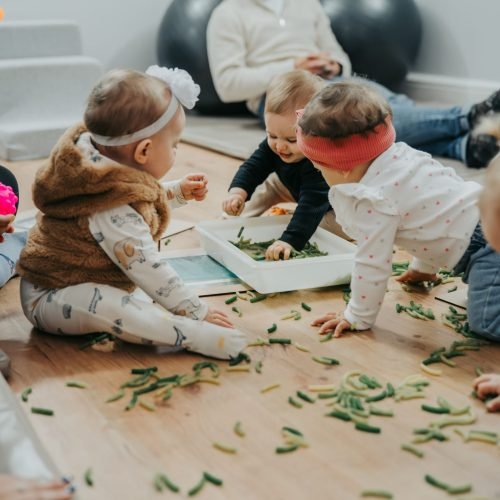 DSC07155-Enhanced-NR